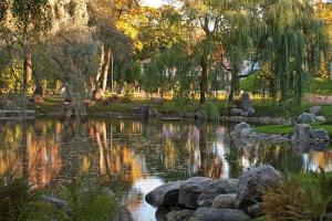 Japanese garden in Kadriorg Park