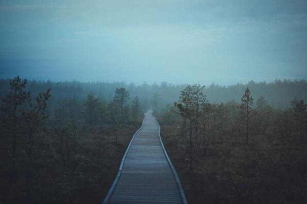 Viru Bog study trail