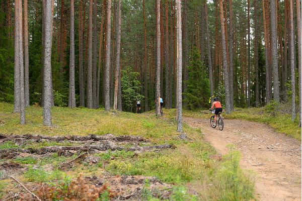 Võsu-Nõmmeveski hiking trail