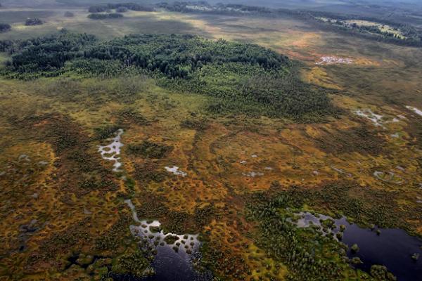 Pārgājieni ar sniega kurpēm Meelvas purvā