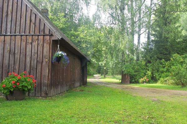 Lauku sētas "Männi" dūmu pirts