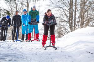 Sportland Kõrvemaa Hike and Ski Resort kick sledge hikes in Kõrvemaa