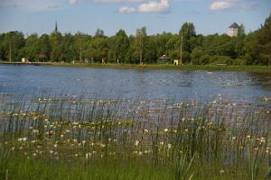 Paide Artificial Lake 