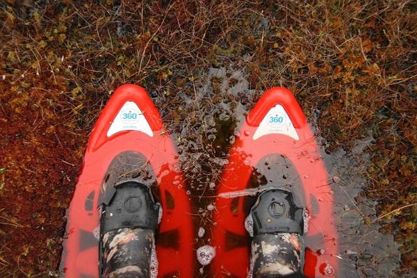 Snowshoe hikes in Marimetsa bog