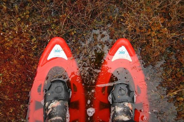 Moorschuhwanderung im Hochmoor Marimetsa