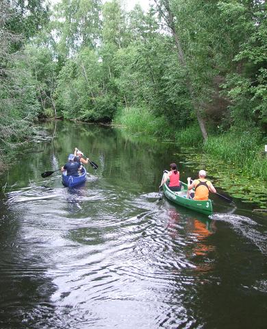 Canoe trip in Endla bog