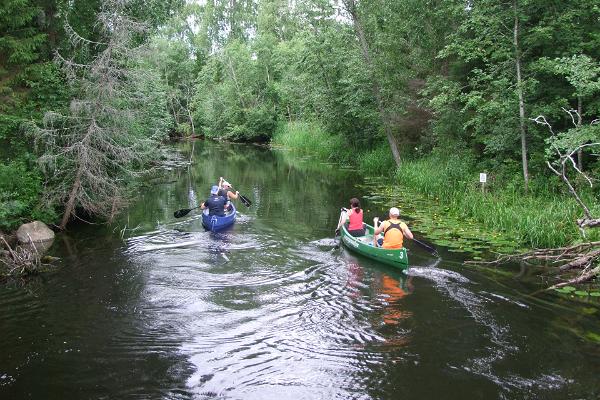 Canoe trip in Endla bog