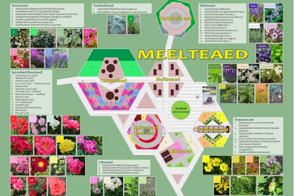 Puhta vee teemapark