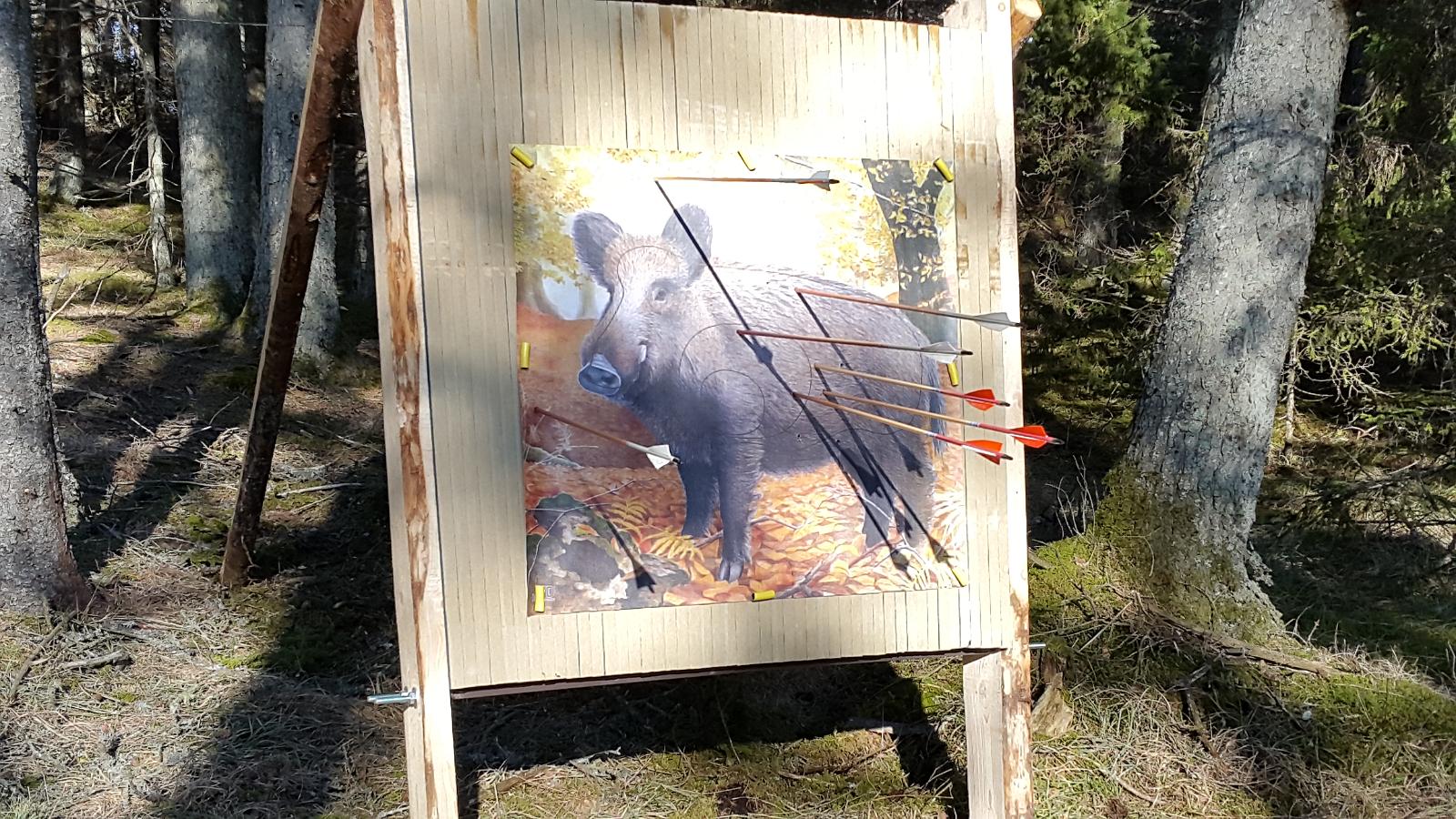Hiievälja archery track, Estonia