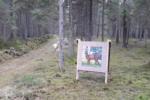 Hiievälja archery track