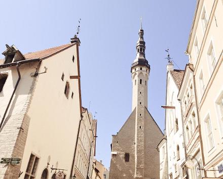 Guidad fotvandring genom medeltida Tallinn