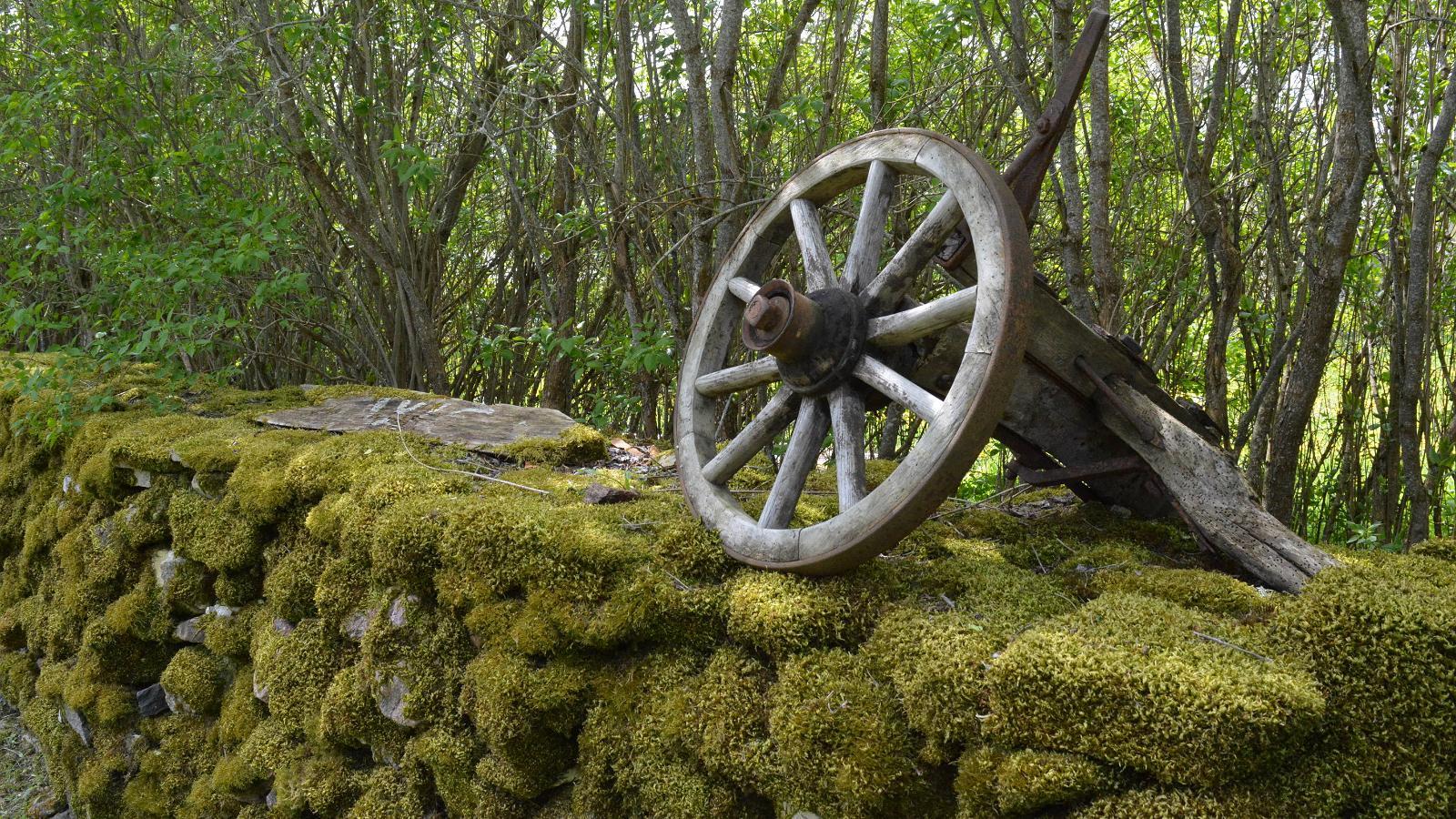 Cycling tour on Muhu Island
