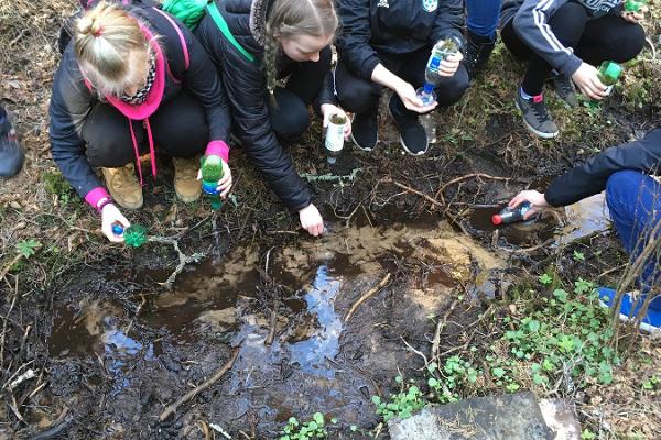 Kort överlevnadskurs i naturen i Pääsküla moss