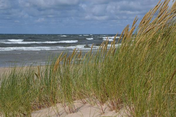 Tuhkana beach and recreation area