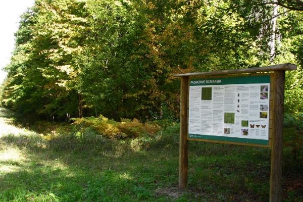 Padakõrve Hiking Trail