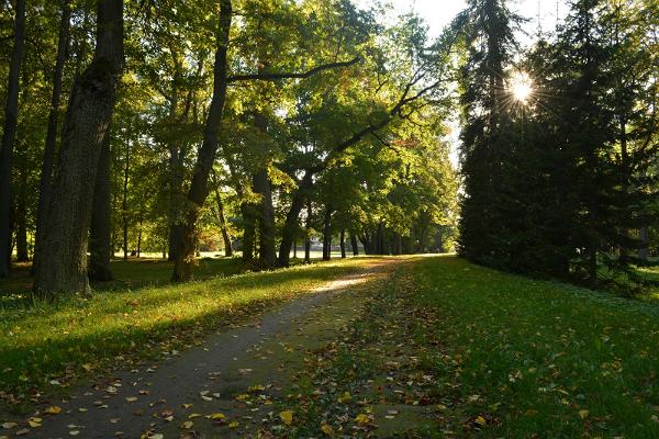 Парк поместья Луунья