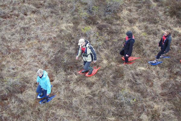 Moorschuhwanderung von "Seikle Vabaks" im Hochmoor Rääma