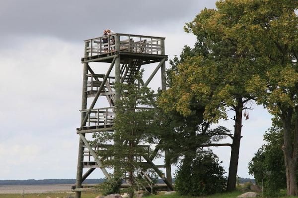 Haeska birdwatching tower