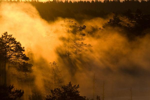 Pārgājiens ar sniega kurpēm Marimetsas purvā