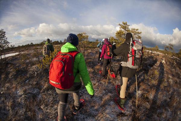 Moorschuhwanderung im Hochmoor Marimetsa