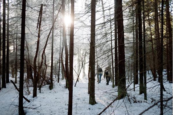 Snowshoe hikes in Marimetsa bog