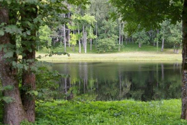 Rava tammik ja järv