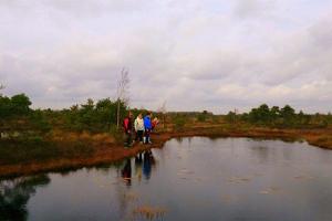 Сафари и поход на болотоступах по болоту Какердая