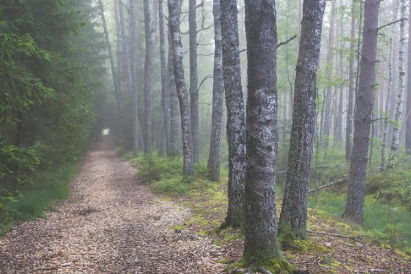 Oandu-Ikla hiking trail