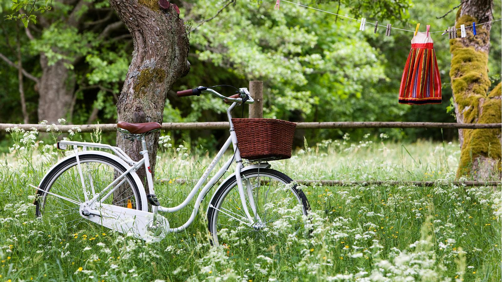 Bicycle tour Luidja-Kõrgessaare-Kärdla