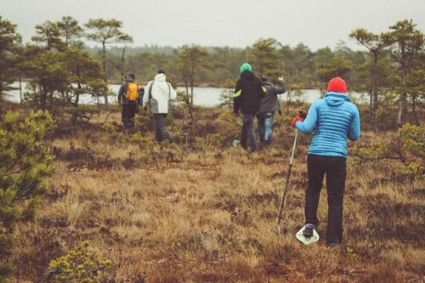 Snöskovandringar i Meenikunno moss i Södra Estland