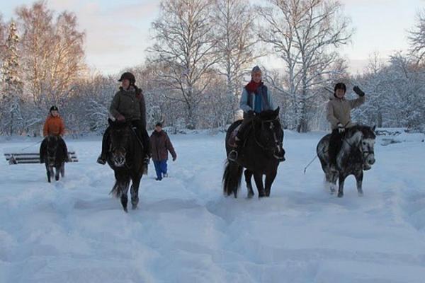 Sleigh and sledge rides at Juurimaa Stable for families and groups