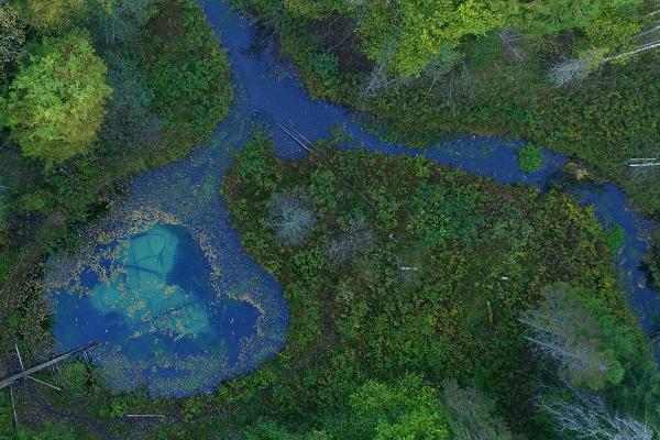 Blue Springs of Saula, sacrifical springs