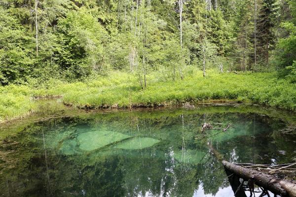 Opferquellen "Saula Siniallikad"