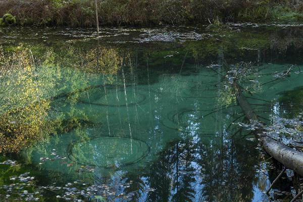 Blue Springs of Saula, sacrifical springs