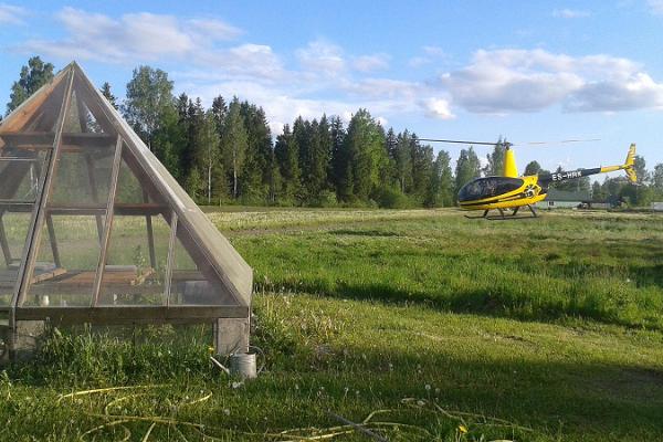 Energigårdens tehus med utsiktstorn