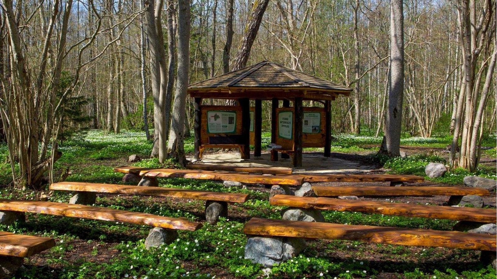 Sooääre forest trail