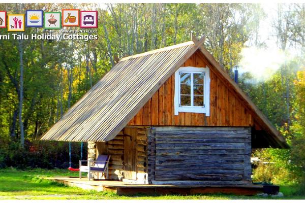 Torni Talu Holiday Cottages, barn house with a bath and a fireplace