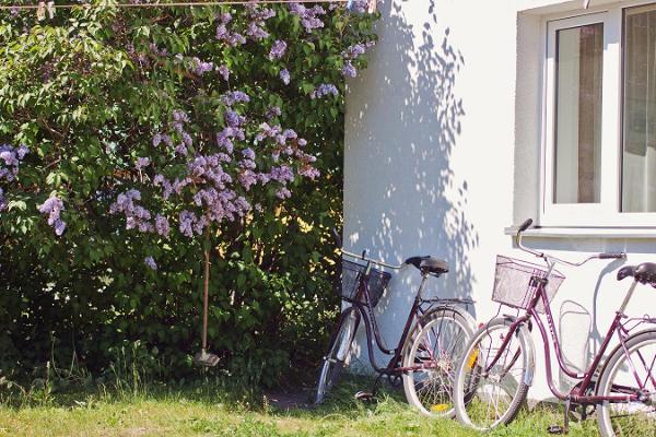 Sadama Öömajas cykeluthyrning på Kynö