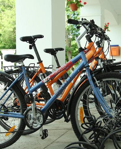 Bike rental at Sagadi Manor