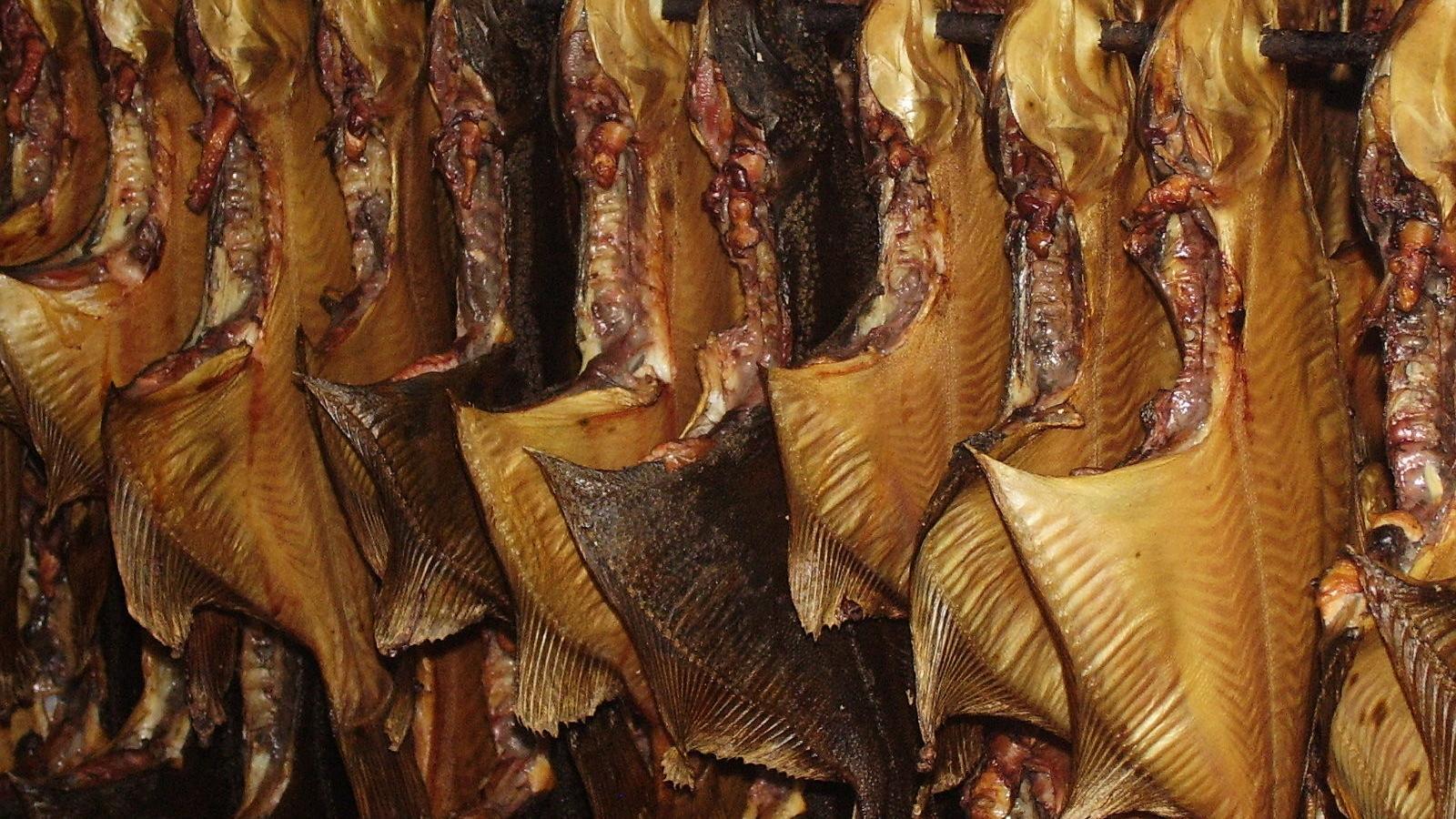 Tihemetsa Dining Room