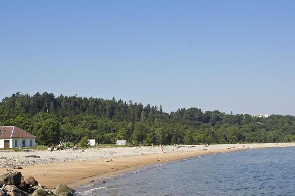 Toila beach