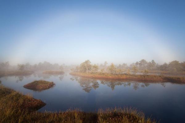 Bogshoe hike in Laukasoo mire in Tartu County, fogbow over a swamp lake