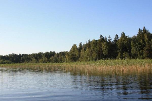 Ermistunjärvi