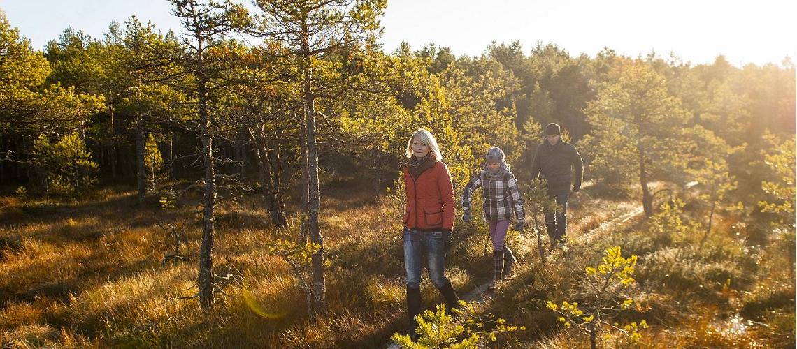 Осень в Эстонии - лучшее время для прогулок по туристическим тропам