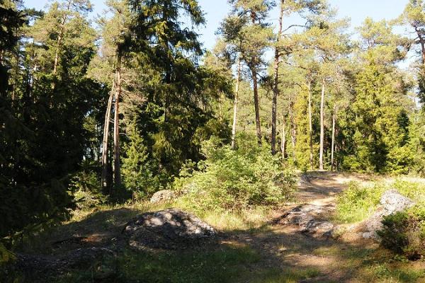 Huitbergi matkarada ja paekühm