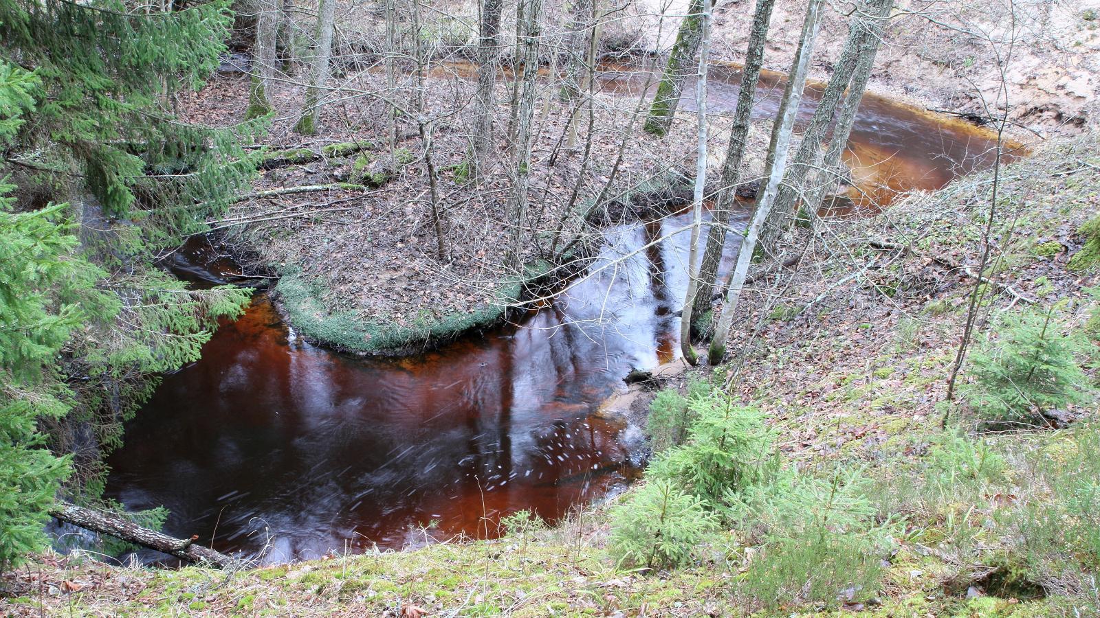 Vanajõe valley study trail