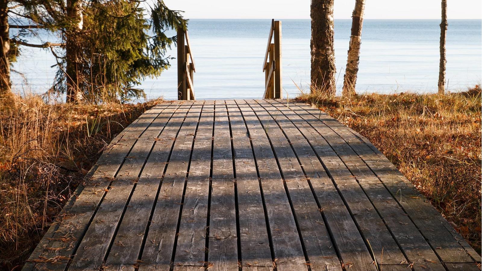 Tõrvanina beach and Camping Site