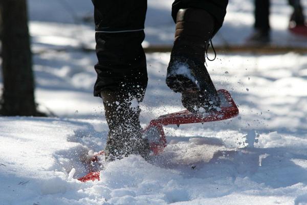 Seikle Vabaks vandringsäventyr med snöskor i Tolkuse högmosse