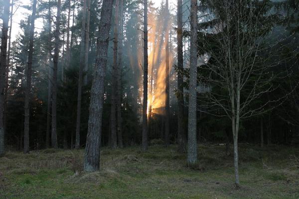 Kärka Puhkemaja