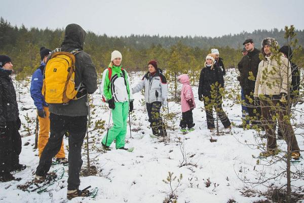 Snöskovandringar i Meenikunno moss i Södra Estland
